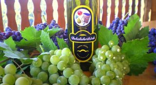 Tihozitje-Debeli-hrib-2